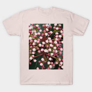 Tiny Flowers Photography My T-Shirt